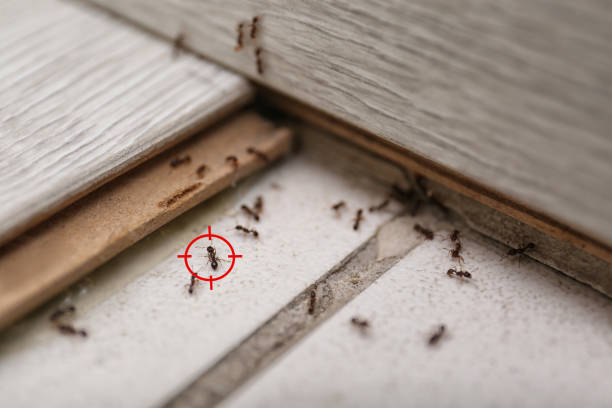 Lynnville, IN Pest Control Company