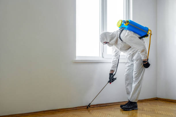 Best Pest Control Treatment  in Lynnville, IN
