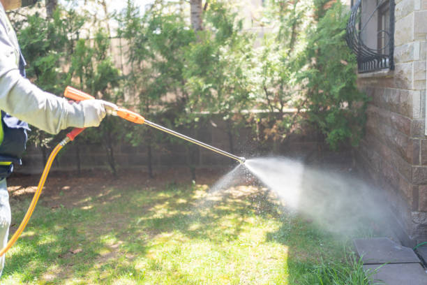 Best Ant Control Services  in Lynnville, IN