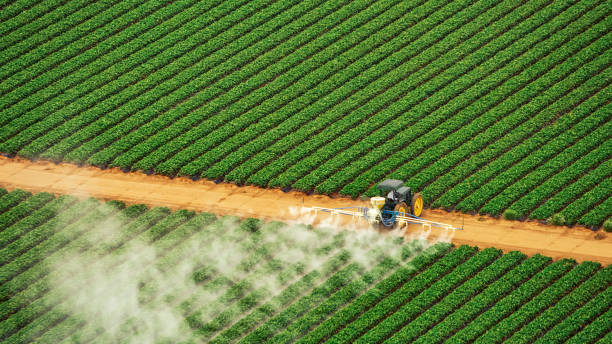 Best Pest Removal Services  in Lynnville, IN