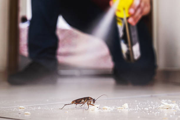 Best Pest Control Near Me  in Lynnville, IN