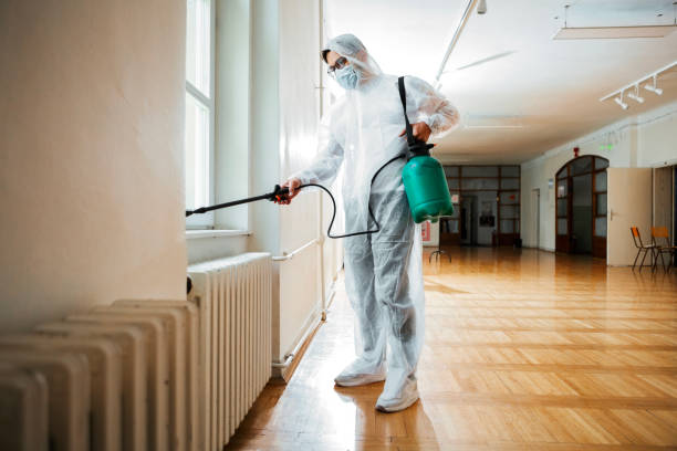 Best Termite Control Services  in Lynnville, IN