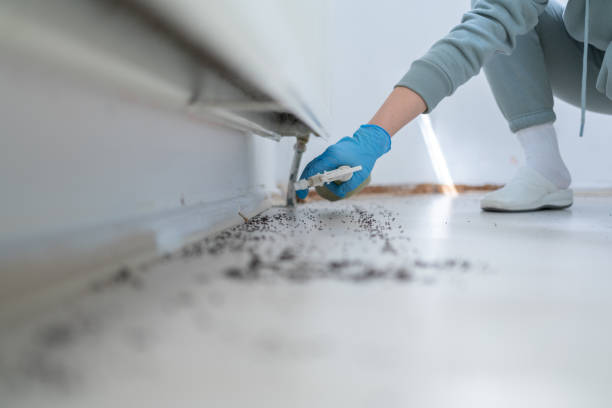 Best Mosquito Control Services  in Lynnville, IN