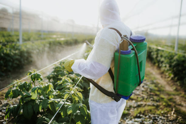  Lynnville, IN Pest Control Pros
